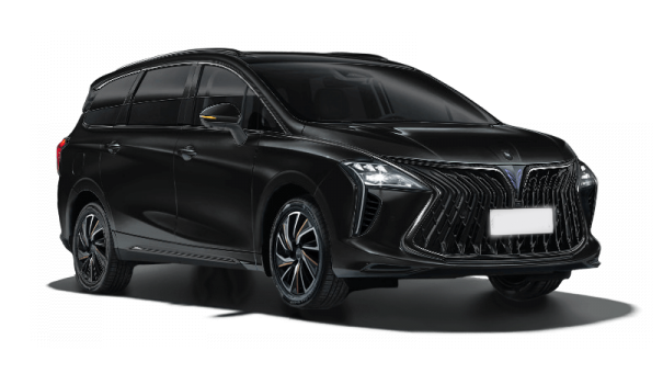 Forthing Yacht Чёрный бриллиант